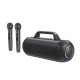 Портативна колонка ACEFAST K1 Party karaoke all-in-one audio set Black (AFK1B)