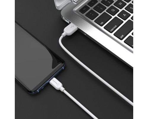 Кабель BOROFONE BX14 USB to Type-C 2.4A, 2m, PVC, TPE connectors, White (6957531090021) Кабель BOROFONE BX14 USB to Type-C 2.4A, 2m, PVC, TPE connectors, White (6957531090021)