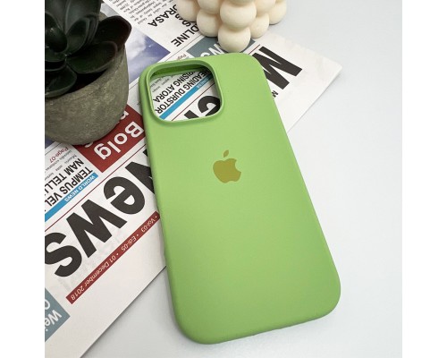 Чохол для смартфона Silicone Full Case AA Open Cam for Apple iPhone 16 Pro Max 1,Mint (FullOpenAAi16PM-1) Чохол для смартфона Silicone Full Case AA Open Cam for Apple iPhone 16 Pro Max 1,Mint (FullOpenAAi16PM-1)