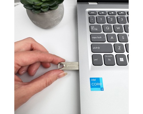 Флеш-накопичувач Wibrand USB 2.0 Taipan 64Gb Silver (WI2.0/TA64U2S) Флеш-накопичувач Wibrand USB 2.0 Taipan 64Gb Silver (WI2.0/TA64U2S)