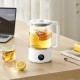 Заварювальний чайник Xiaomi Mijia Smart Multifunctional Health Kettle S1 + (перехідник на EU розетку) (MDS2A0)
