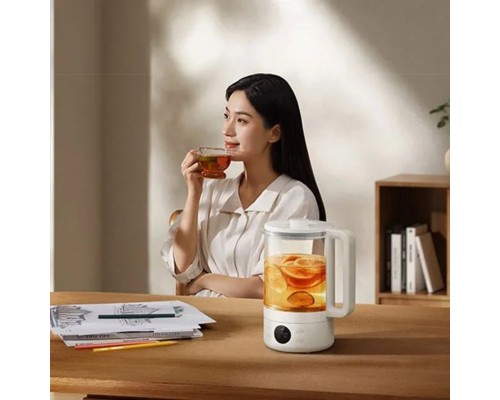 Заварювальний чайник Xiaomi Mijia Smart Multifunctional Health Kettle S1 + (перехідник на EU розетку) (MDS2A0)