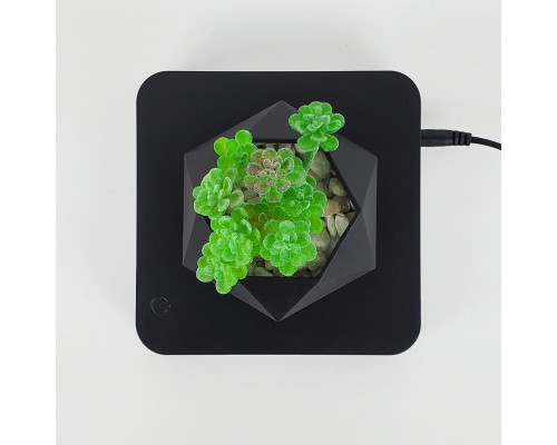 Магнітний левітаційний горщик для рослин HCNT Magnetic Levitating Pot M10-GW4 Black (SIM10-GW4) Магнітний левітаційний горщик для рослин HCNT Magnetic Levitating Pot M10-GW4 Black (SIM10-GW4)