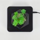 Магнітний левітаційний горщик для рослин HCNT Magnetic Levitating Pot M10-GW4 Black (SIM10-GW4)