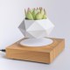 Магнітний левітаційний горщик для рослин HCNT Magnetic Levitating Pot M10-FP Wood Grain (SIM10-FP)