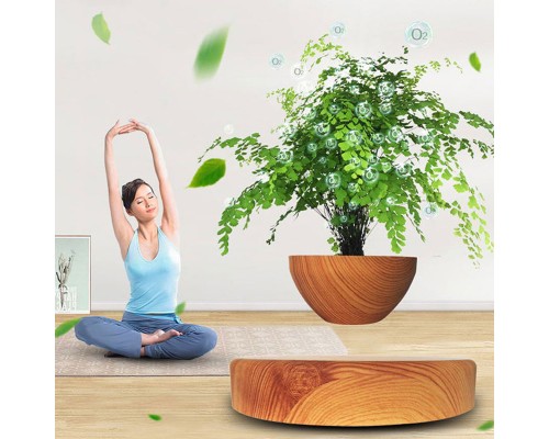 Магнітний левітаційний горщик для рослин HCNT Magnetic Levitating Pot M10-PS Wood Grain (SIM10-PS) Магнітний левітаційний горщик для рослин HCNT Magnetic Levitating Pot M10-PS Wood Grain (SIM10-PS)