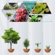 Магнітний левітаційний горщик для рослин HCNT Magnetic Levitating Pot M10-PS Wood Grain (SIM10-PS)