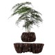 Магнітний левітаційний горщик для рослин HCNT Magnetic Levitating Pot M5B-PW Brown (M005B-PW)