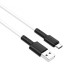 Дата кабель USB 2.0 AM to USB-C 1.0m 3A silicone BX31 white BOROFONE (6931474710406)