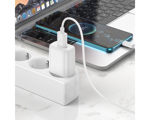 Мережевий зарядний пристрій з кабелем HOCO C134A Solid single-port charger set(Type-C) White (6942007621366)