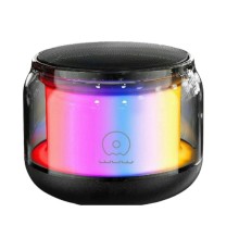 Портативна колонка WUW-R213 Black (R213)