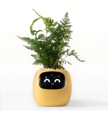 Інтерактивний розумний горщик для рослин Ivy Smart Planter Tuya AI, Yellow (ISPTAY)