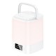 Світильник HOCO HX15 1.5W. 1200 mAh. Smart clock night light White (6942007671842)