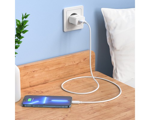 Мережевий зарядний пристрій HOCO C106A Leisure single port charger 10,5W White (6931474783882)