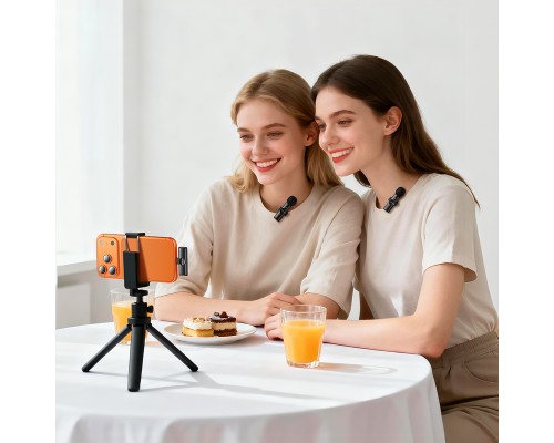 Бездротова мікрофонна система BOROFONE BFK16A Winner dual-mic (Type-C) Black (6941991126512)