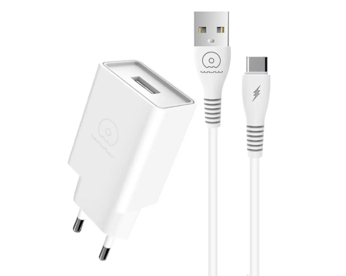 Мережевий зарядний пристрій з кабелем WUW-T82 Single USB home charger set type-c (6972573336555)