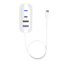 USB-хаб WUW-C246 3-in-1 USB-C to 2 USB-A, USB-C White (6972573338542)