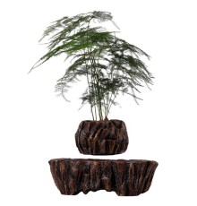 Магнітний левітаційний горщик для рослин HCNT Magnetic Levitating Pot M5B-PW Brown (M005B-PW)