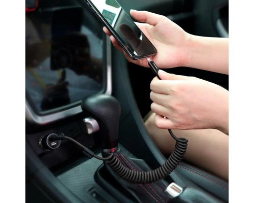 Кабель Baseus Fish eye Spring Data Cable Lightning 1m Black (CALSR-01) Кабель Baseus Fish eye Spring Data Cable Lightning 1m Black (CALSR-01)