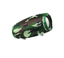 Портативна колонка BOROFONE BR3 Rich sound sports wireless speaker Camouflage Green (BR3CE) 