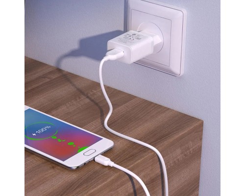 Мережевий зарядний пристрій BOROFONE BA68A Glacier single port charger set(Type-C) White (BA68ACW) 