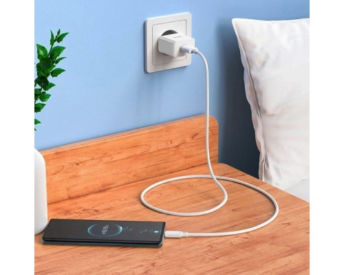 Мережевий зарядний пристрій HOCO C106A Leisure single port charger set(Type-C) White (6931474783912) 