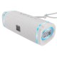 Портативна колонка BOROFONE BR32 Sound arc sports BT speaker Gray (6941991103469)