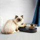 Годівниця PETKIT Fresh Nano Metal 15° Adjustable Cat Feeding Bowl (P5201) (P5201)