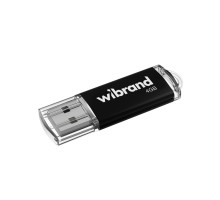 Flash Wibrand USB 2.0 Cougar 4Gb Black (WI2.0/CU4P1B) 
