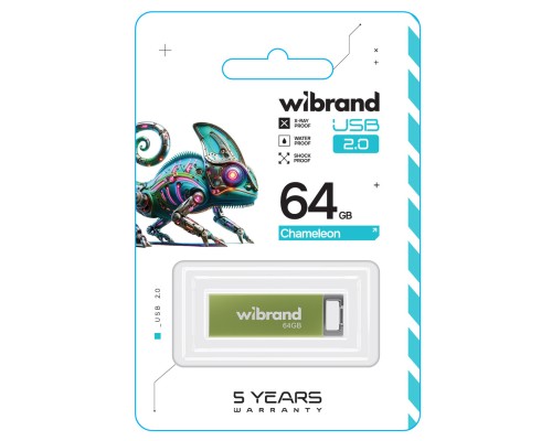 Flash Wibrand USB 2.0 Chameleon 64Gb Light green (WI2.0/CH64U6LG) Flash Wibrand USB 2.0 Chameleon 64Gb Light green (WI2.0/CH64U6LG)