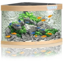 Акваріум Juwel Trigon 190 LED 99x60x70 см 190 л кутовий (дуб) (4022573168501)
