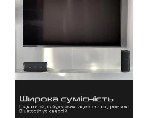 Акустична система HIFuture Ripple Black (ripple.black.) 