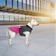 Попона для тварин Pet Fashion ROY 4XL малиново-сіра (4823082432899)
