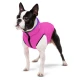 Курточка для тварин Airy Vest двостороння XS 25 фіолетово-рожева (1587)