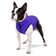 Курточка для тварин Airy Vest двостороння XS 25 фіолетово-рожева (1587)