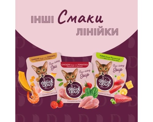 Вологий корм для кішок Delickcious Суп з курки з шинкою та додаванням шпинату 80 г (4820269141599)