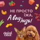 Вологий корм для кішок Delickcious Суп з курки з шинкою та додаванням шпинату 80 г (4820269141599)