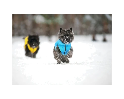 Курточка для тварин Collar AiryVest 