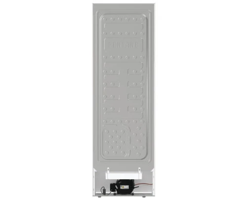 Морозильна камера Gorenje FN619EEW5