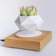 Магнітний левітаційний горщик для рослин HCNT Magnetic Levitating Pot M10-FP  Wood Grain (SIM10-FP)