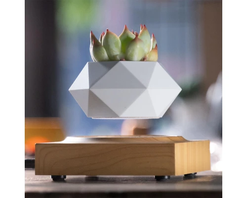 Магнітний левітаційний горщик для рослин HCNT Magnetic Levitating Pot M10-FP  Wood Grain (SIM10-FP)