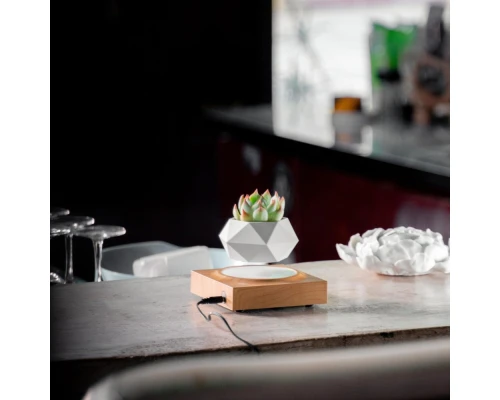 Магнітний левітаційний горщик для рослин HCNT Magnetic Levitating Pot M10-FP  Wood Grain (SIM10-FP)