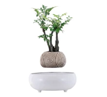 Магнітний левітаційний горщик для рослин HCNT Magnetic Levitating Pot M5B-PW-T White (M005B-PW-T)